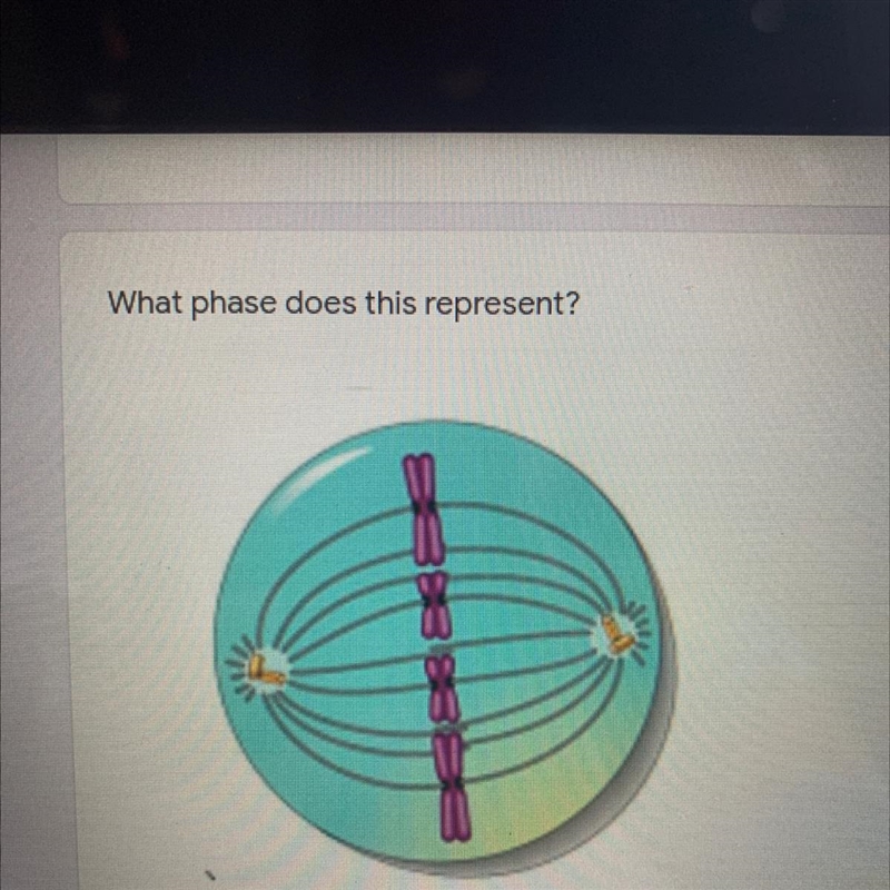 PLSSS HELP, the question is what does this represent.-example-1