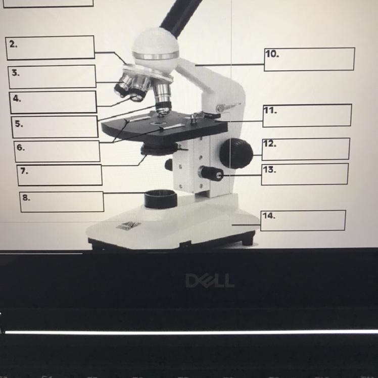 Can anyone name all these parts of the microscope? please label each part with the-example-1