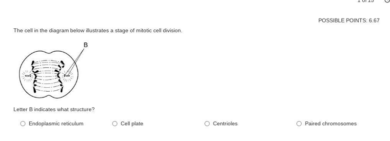 The cell in the diagram below illustrates a stage of mitotic cell division. GIVING-example-1