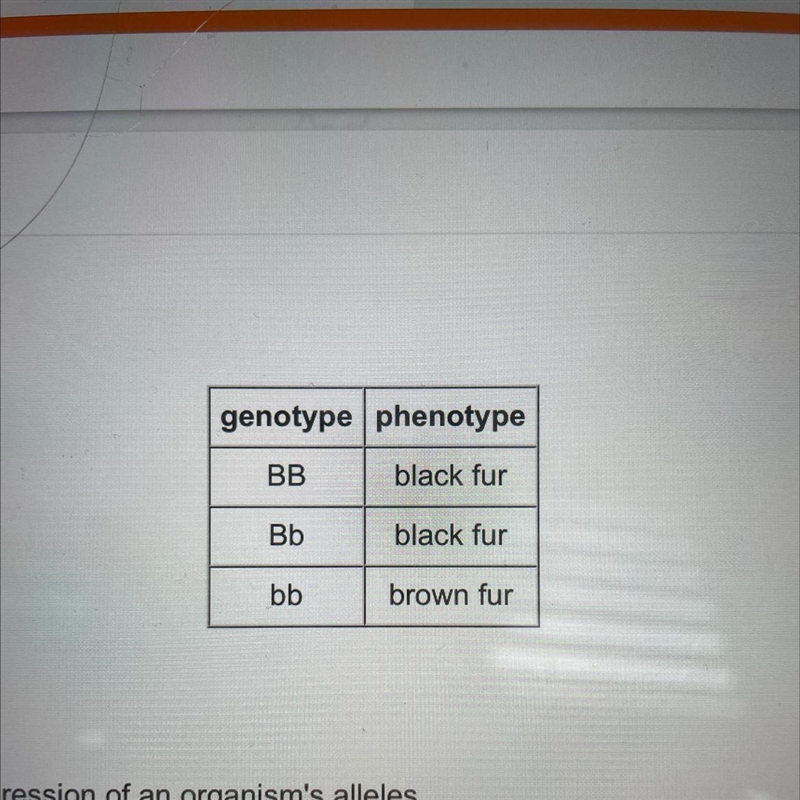 Examine the chart shown below. genotype phenotype BB black fur Bb black fur bb brown-example-1