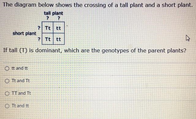 Please help me with this homework question!-example-1