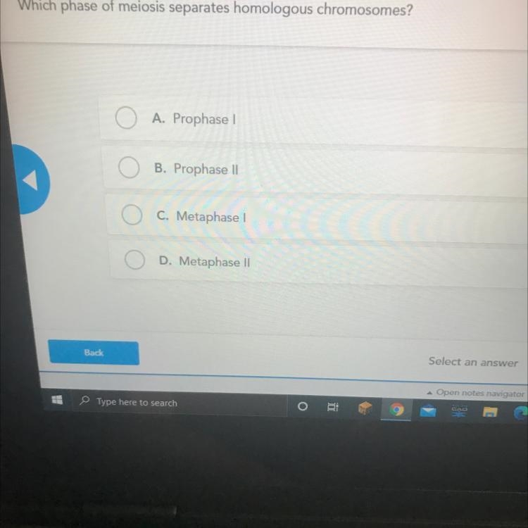 Which phase of meiosis separates homologous chromosomes?-example-1