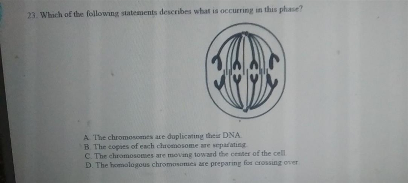 500pt biologiofyyyyy​-example-1