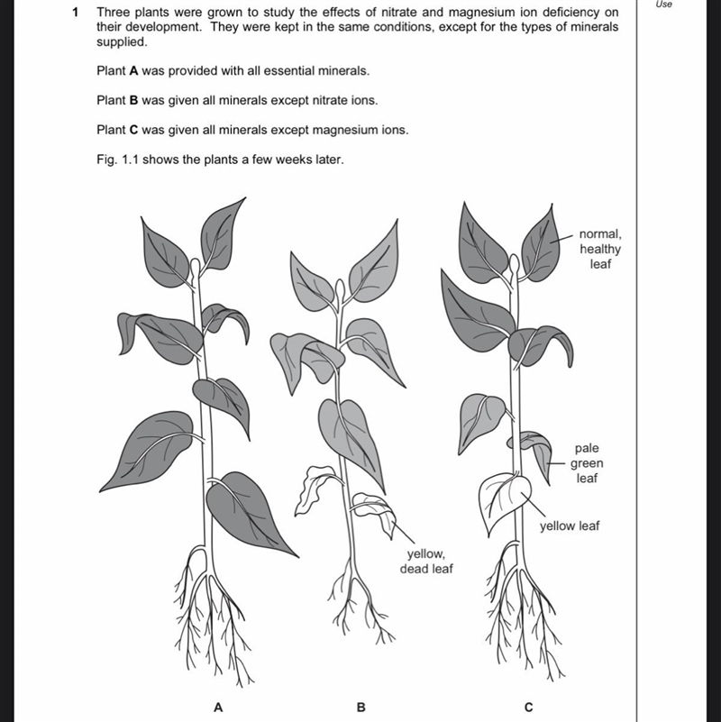 BIOLOGY STUDENTS CLICK MY QUESTION PLEASE Three plants were grown to study the effects-example-1