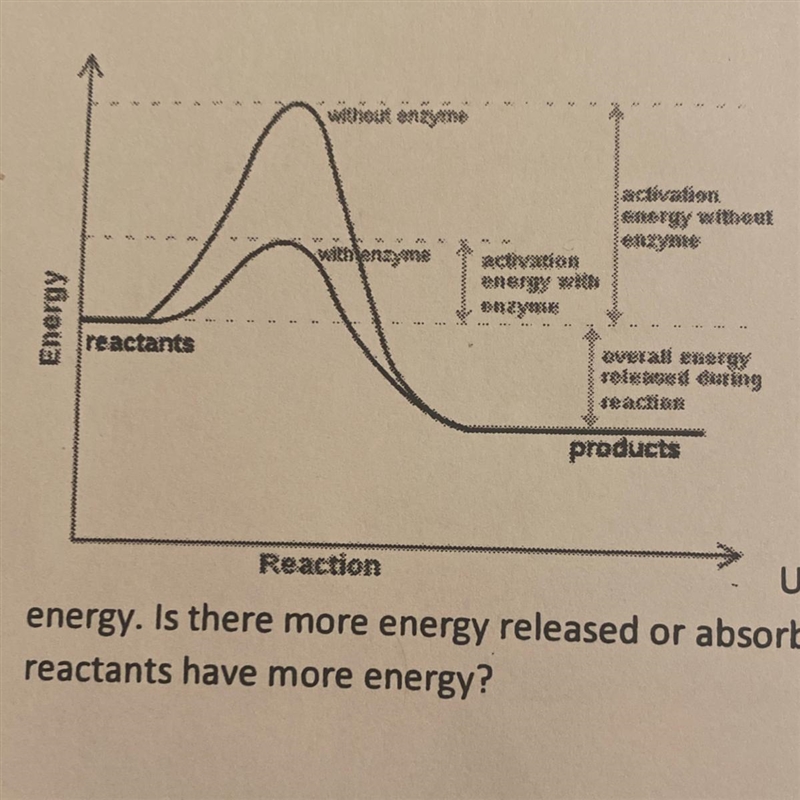 using this chart. Explain what occurs with the energy. Is there more energy released-example-1