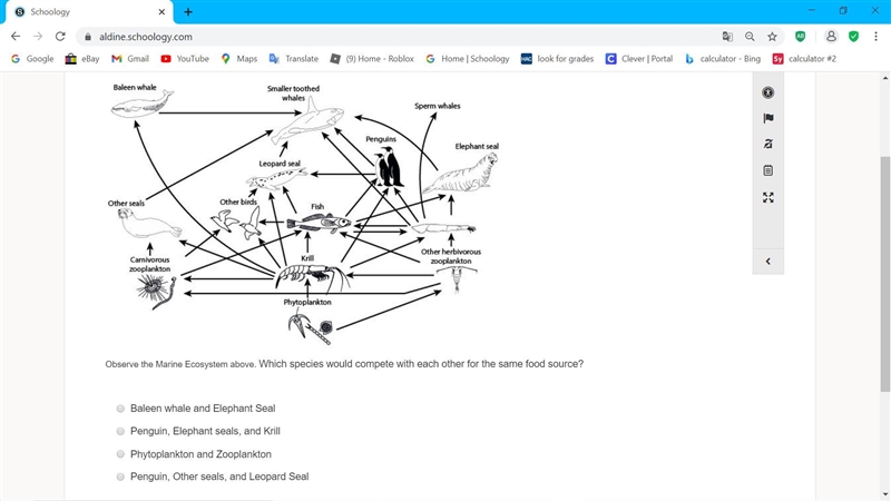 Need help pls would really appreciate it-example-1