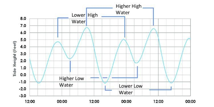 (30 points) URGENT!!! My teacher is going to ask me a question based on this graph-example-1