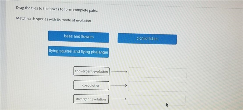 Drag the tiles to the boxes to form complete pairs. Match each spedes with its mode-example-1