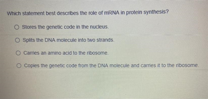 Which statement best describes the role of mRNA in protein synthesis?-example-1