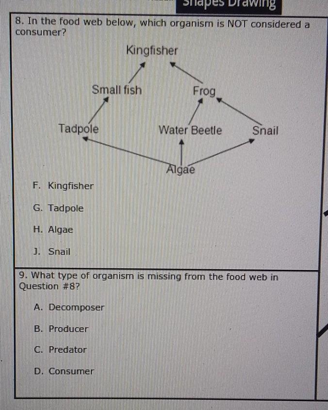 What type of organism is missing from the food web in question #8 ​-example-1