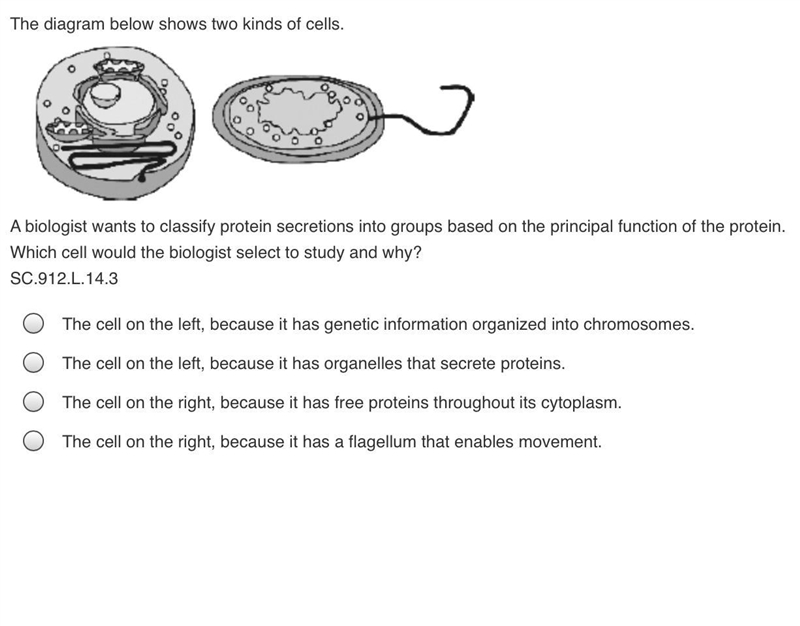 The diagram below shows two kinds of cells. A biologist wants to classify protein-example-1