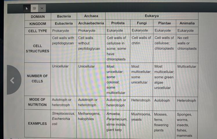 An organism is multicellular and lacks a cell wall. Use this table to determine the-example-1