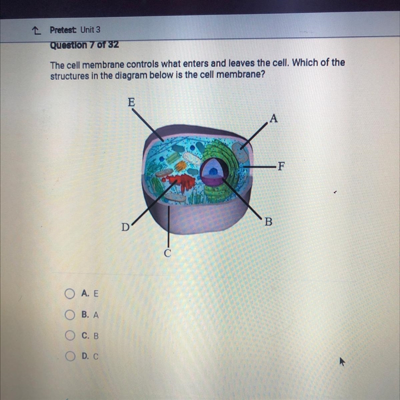 The cell membrane controls what enters and leaves the cell. Which of the structures-example-1