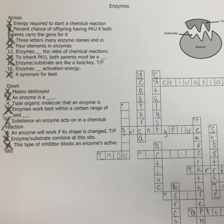 Help on 4 12 and 16 please biology crossword-example-1