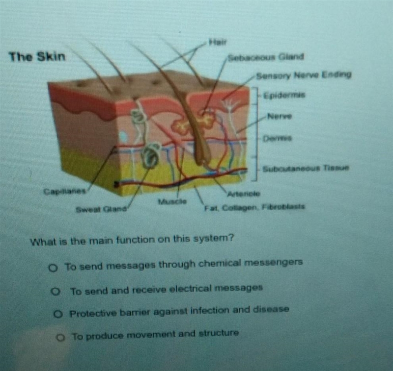 Help me with this please​-example-1