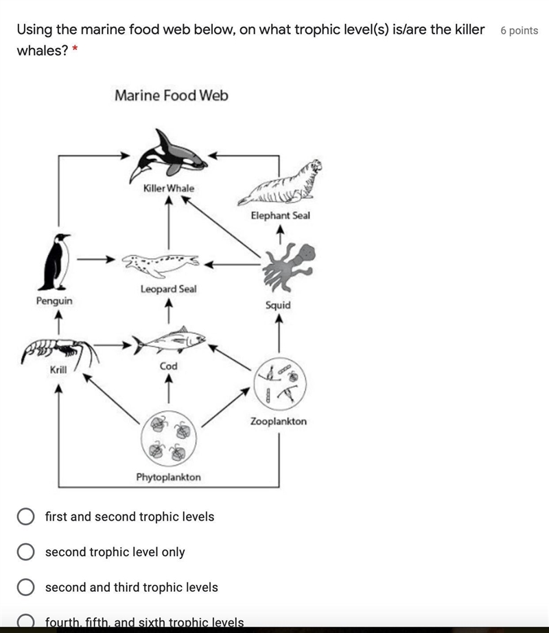 Using the marine food web below, on what trophic level(s) is/are the killer whales-example-1