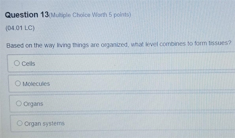 Question 13(Multiple Choice Worth 5 points) (04.01 LC) Based on the way living things-example-1