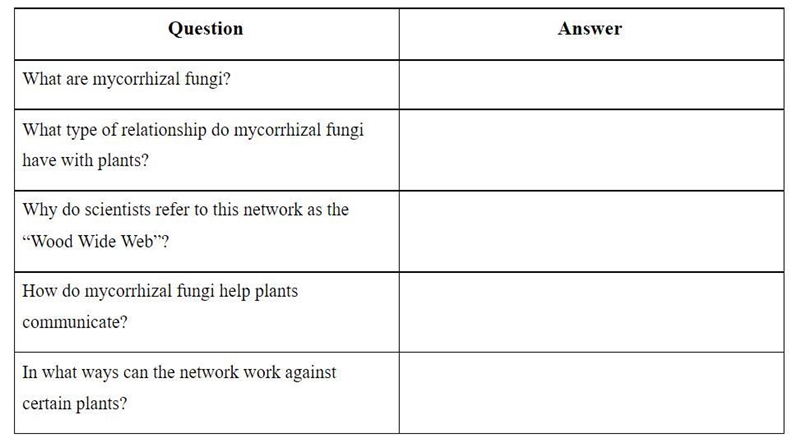 Can someone pls help with this :)-example-1