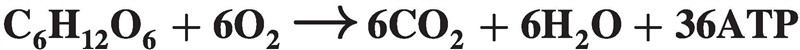 The chemical equation below shows the reaction of glucose and oxygen. Which process-example-1