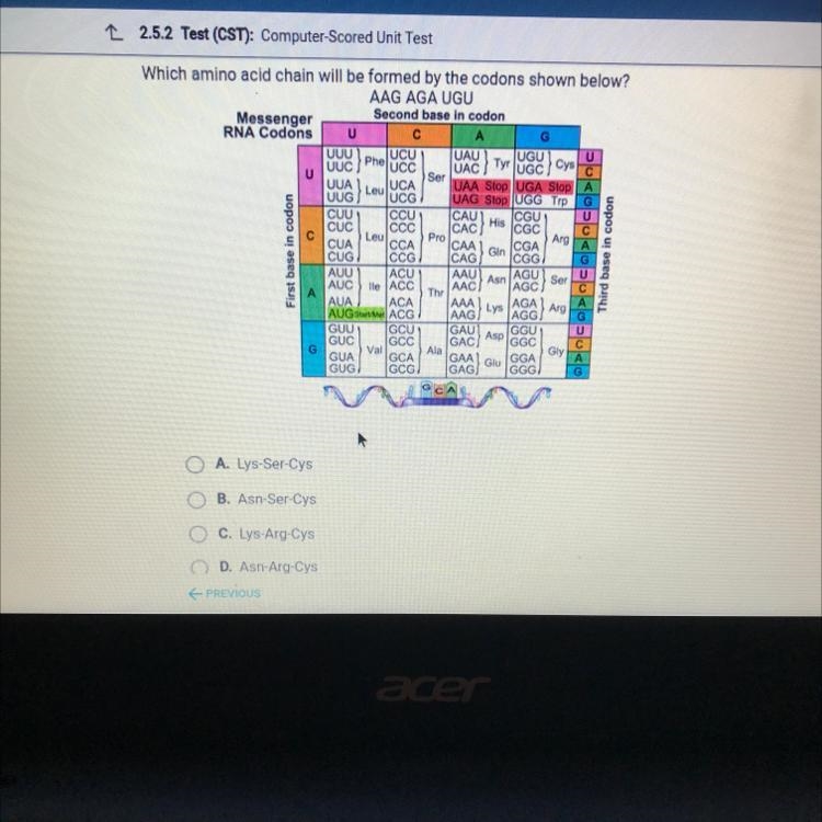 Cys Which amino acid chain will be formed by the codons shown below? AAG AGA UGU Messenger-example-1