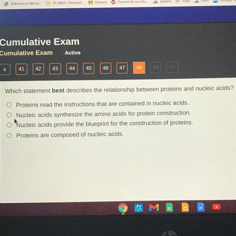 Which statement best describes the relationship between proteins and nucleus acids-example-1