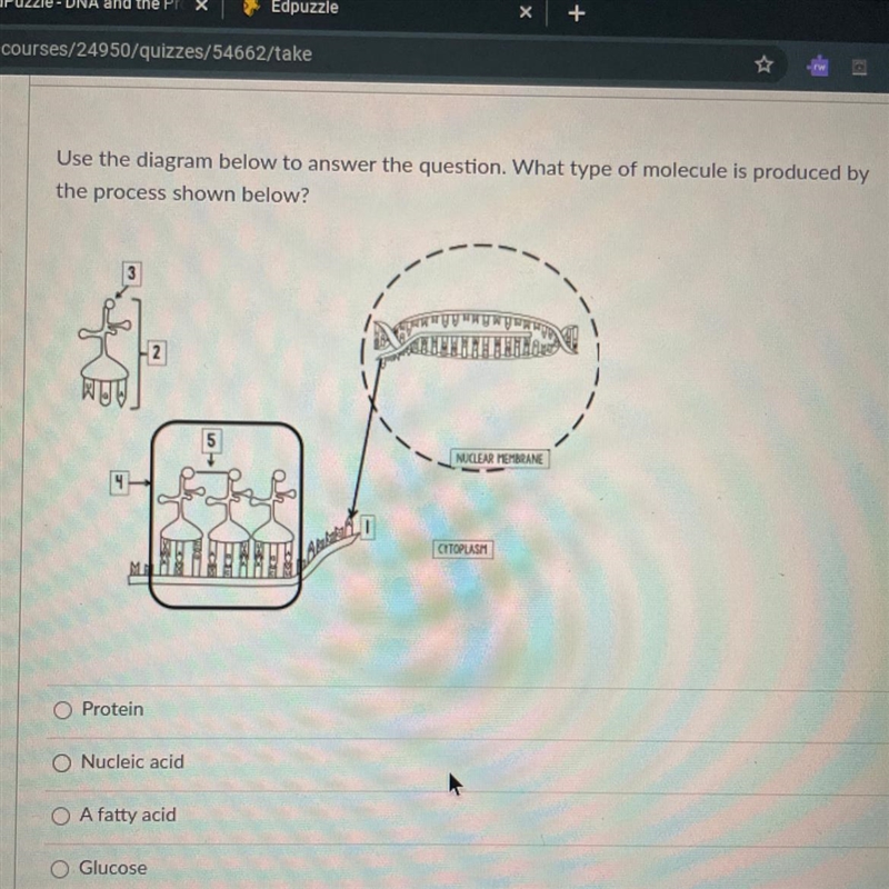 Help please it’s due today-example-1