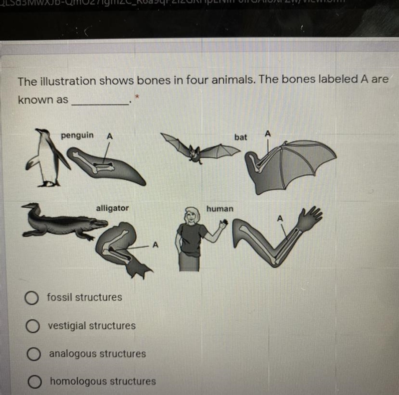 The illustration shows structures into animals these are known as??? helpp-example-1