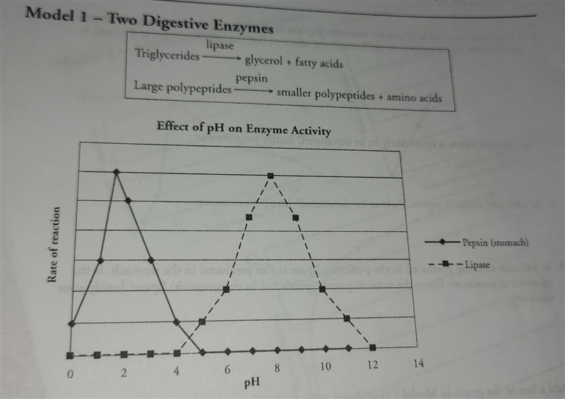 Compare the rate of the pepsin-catalyzed reaction at pH 8 with the rate of the lipase-example-1