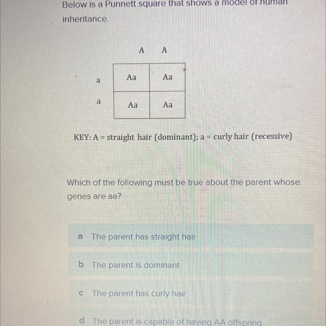 Below is a Punnett square that shows a model of human inheritance A А Аа Aa a a Аа-example-1