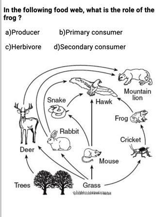 In the following food web, what is the role of the frog ? a)Producer b)Primary consumer-example-1