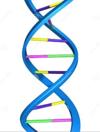 Identify the structure shown below, describe it in detail. Make sure to include following-example-1