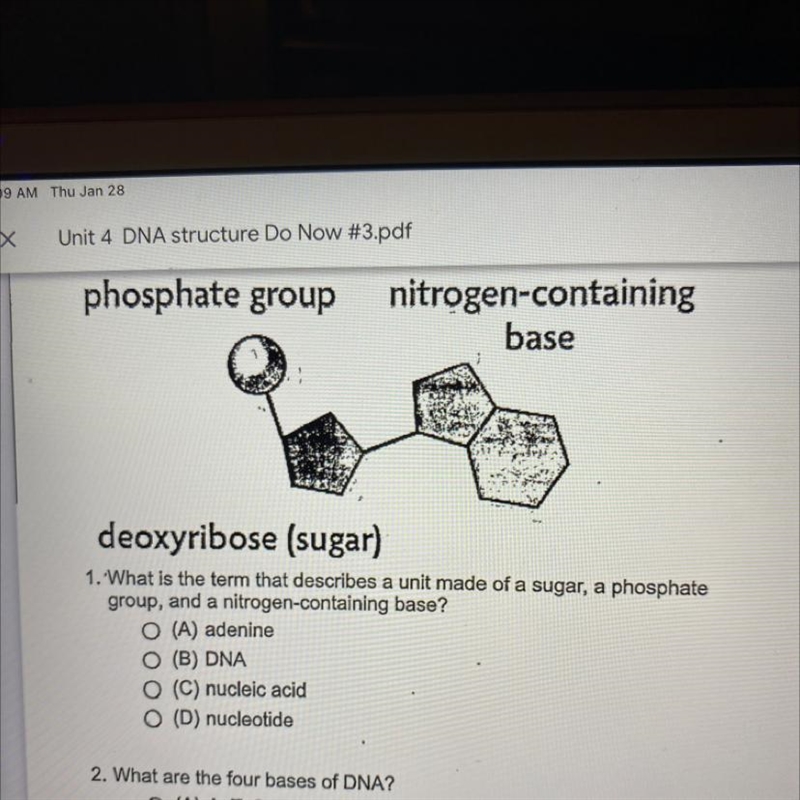 Deoxyribose (sugar) 1. What is the term that describes a unit made of a sugar, a phosphate-example-1