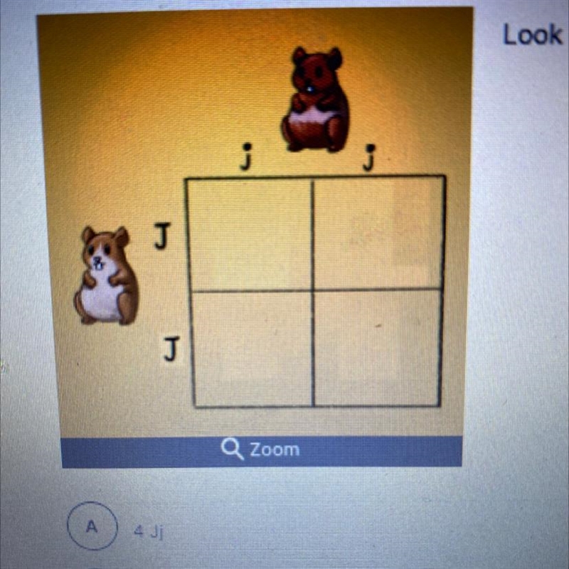 Look at the following Punnett square. What are the possible genotypes of the offspring-example-1