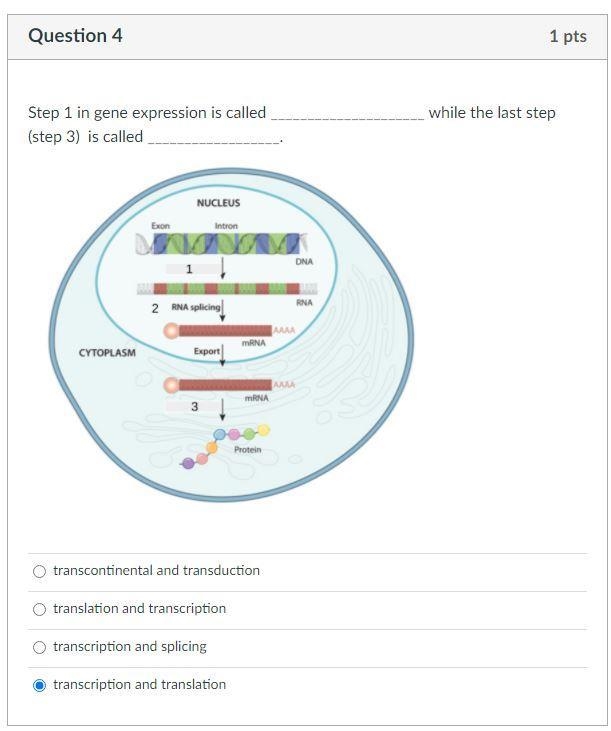 Can you help me, please?-example-1