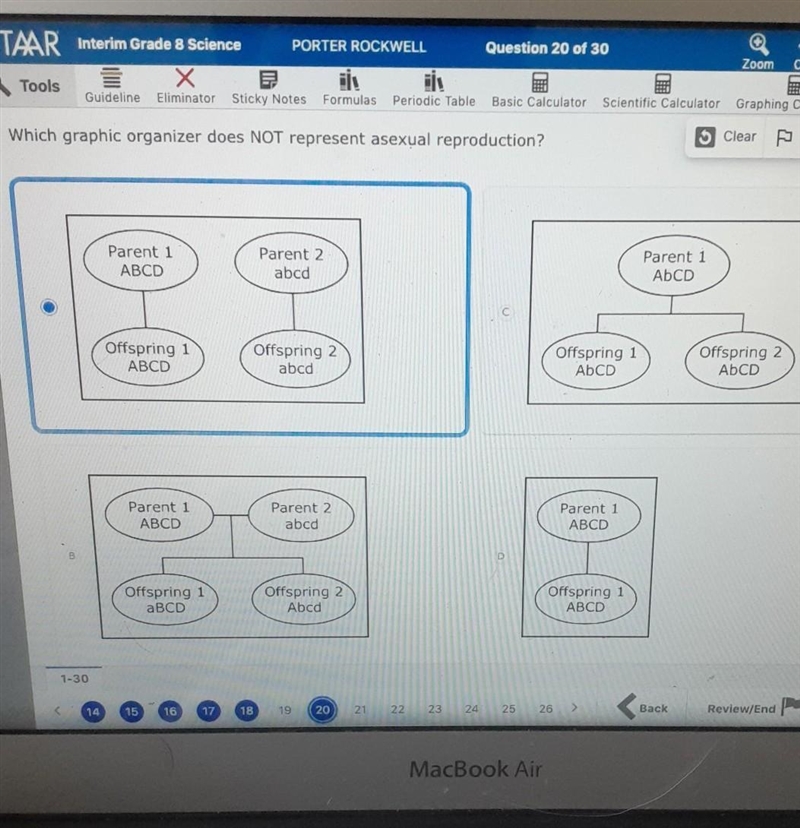 Students use alphabet letters to represent the genetic instruction for a trait of-example-1