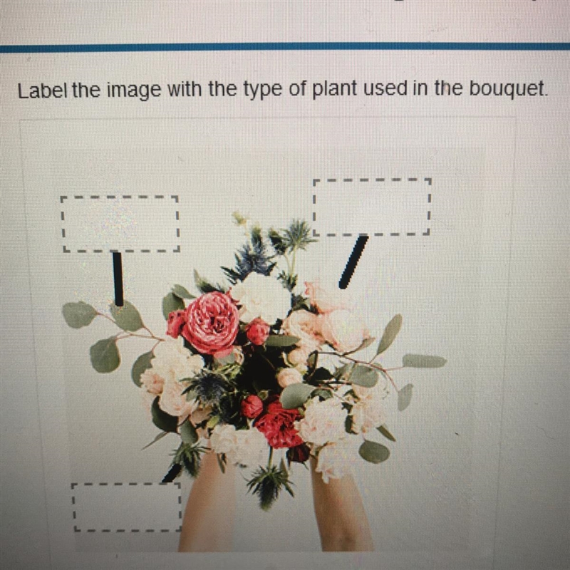 Label the image with the type of plant used in the bouquet. mass flower filler flower-example-1