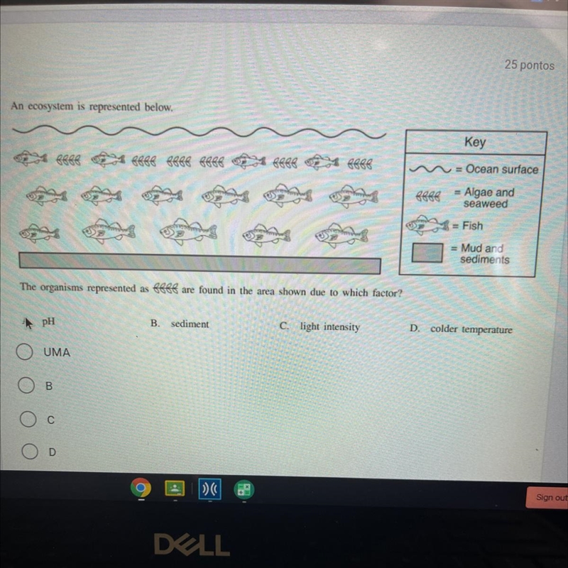 An ecosystem is represented below. Key A lege eeee eeee eeee eeee u sees = Ocean surface-example-1