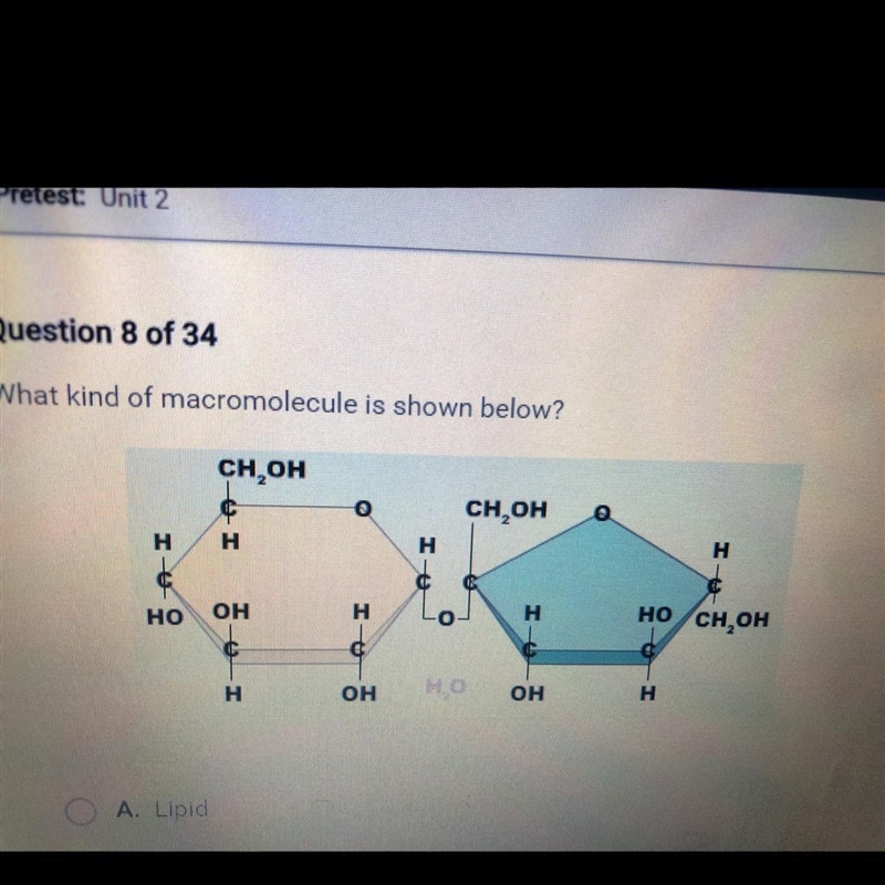 What kind of macromolecule is shown below? снон A. Lipid B. Nucleic acid C. Water-example-1