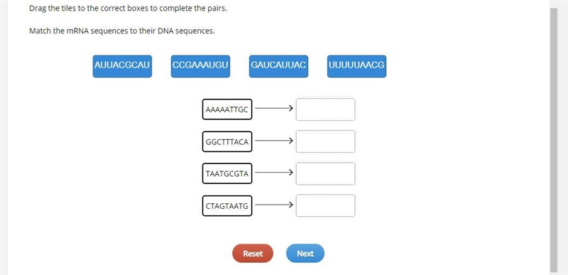 Drag the tiles to the correct boxes to complete the pairs. Match the mRNA sequences-example-1