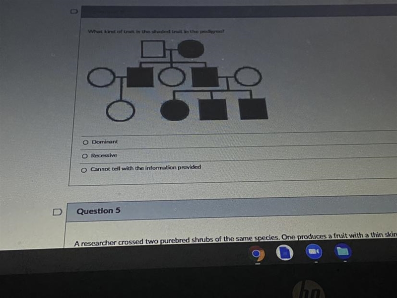 What kind of trait is the shaded trait in the pedigree-example-1