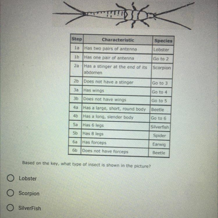 Easy question please help asap-example-1