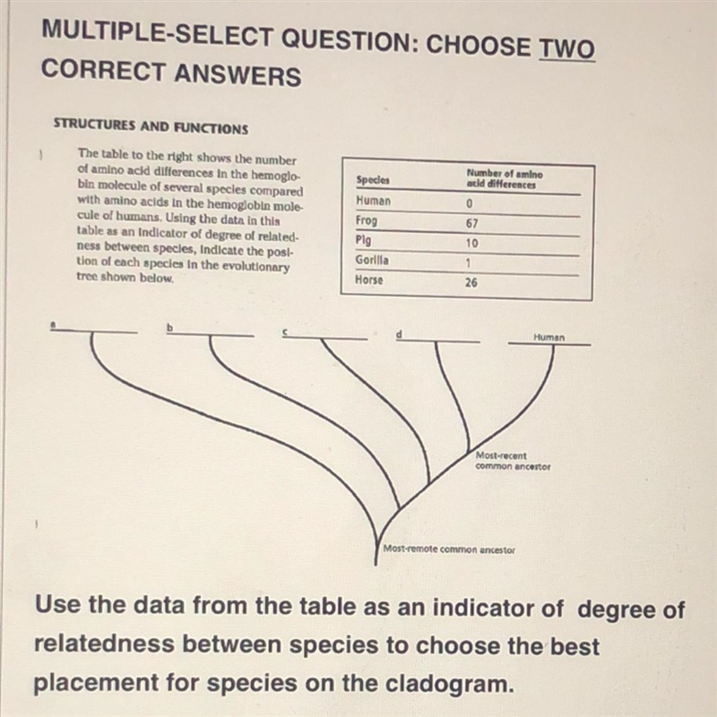 MULTIPLE-SELECT QUESTION: CHOOSE TWO CORRECT ANSWERS STRUCTURES AND FUNCTIONS A. There-example-1