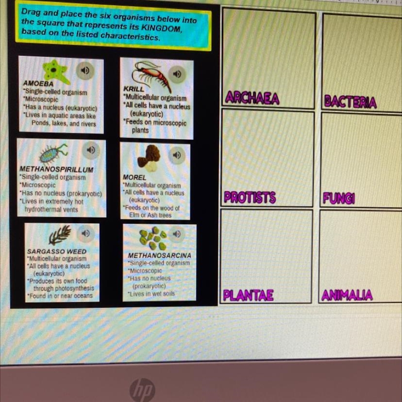 I need help what are plantea and animalia?-example-1