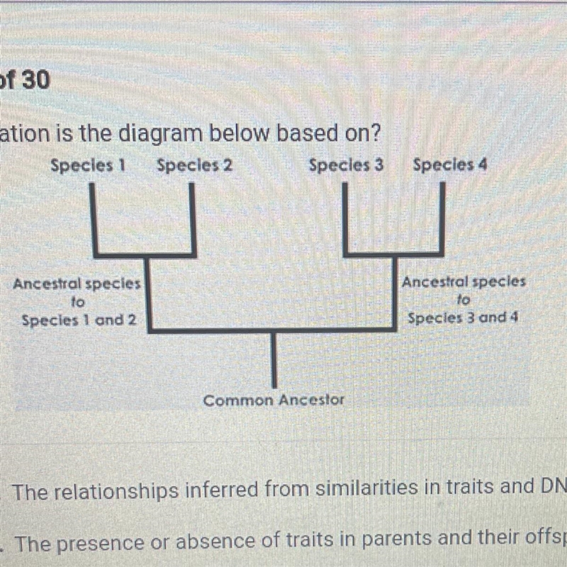 What information is the diagram below based on? A. The relationships inferred from-example-1