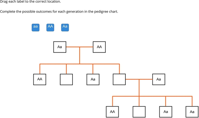 Please help, this determines how much work I do, allele chart.-example-1