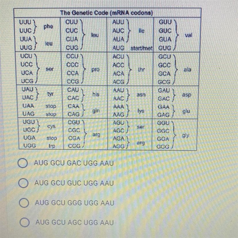 If the DNA is: TAC CGA CCG ACC TTA. Create a mRNA strand with a point mutation that-example-1