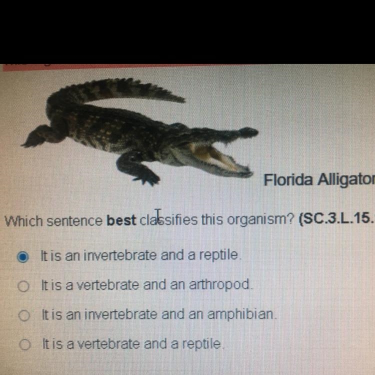 Question 7 of 13 - This organism has a backbone. It is cold blooded, breathes air-example-1