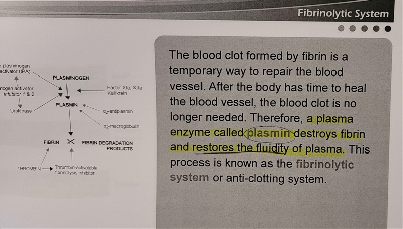 Which of the following breaks down fibrin and restores the fluidity of plasma?-example-1