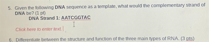 Complementary strand of DNA? DNA Strand 1: AATCGGTAC-example-1