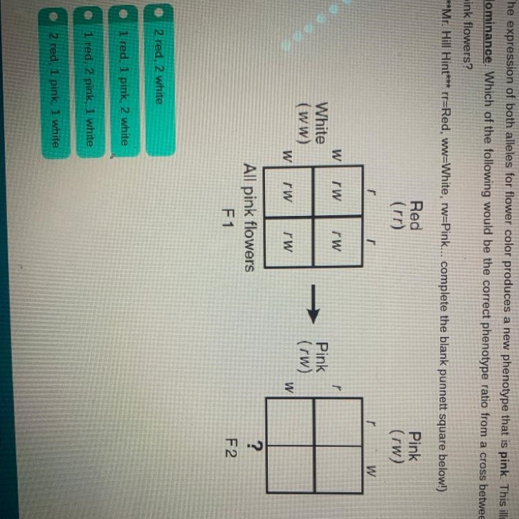 The expression of both alleles for flower color produces a new pink. this illustrates-example-1